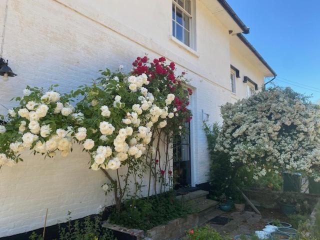 Old Rectory - Scoulton Appartement Great Ellingham Buitenkant foto